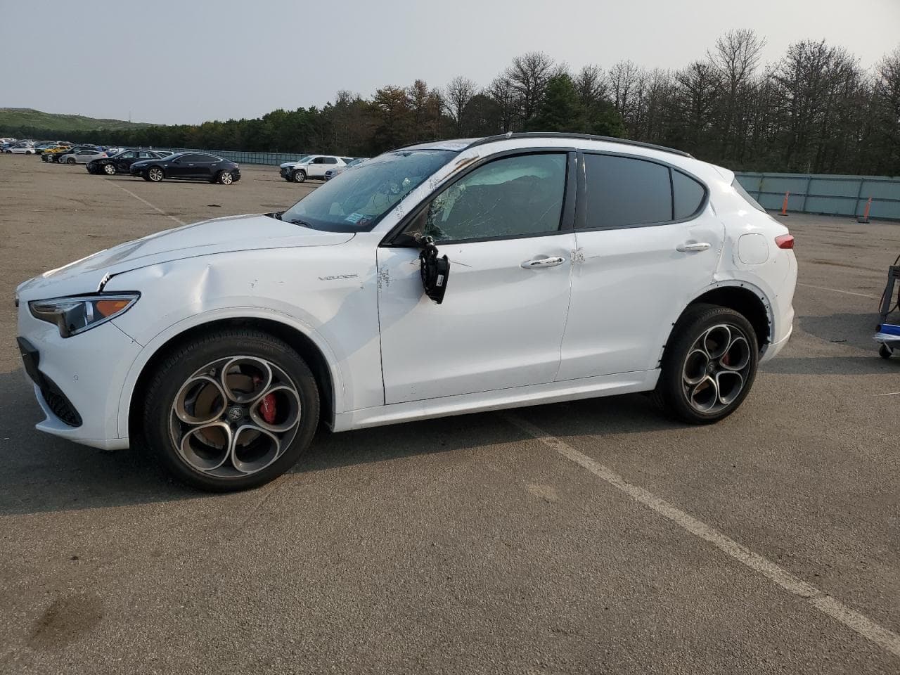 ALFA ROMEO STELVIO ZASPAKBN5P7D55139 | BidCars4U