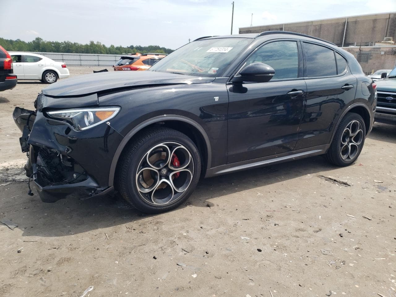 ALFA ROMEO STELVIO ZASPAKBN7P7D57202 | BidCars4U